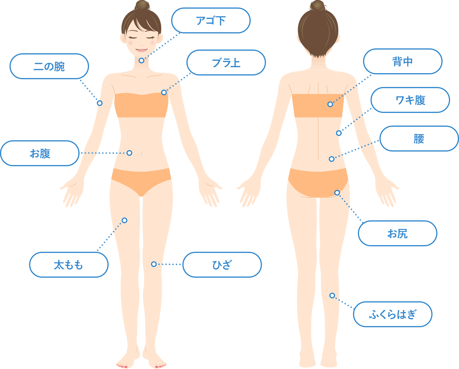 施術可能部位