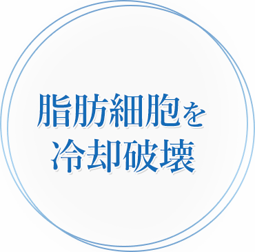 脂肪細胞を冷却破壊