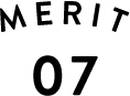 MERIT 07