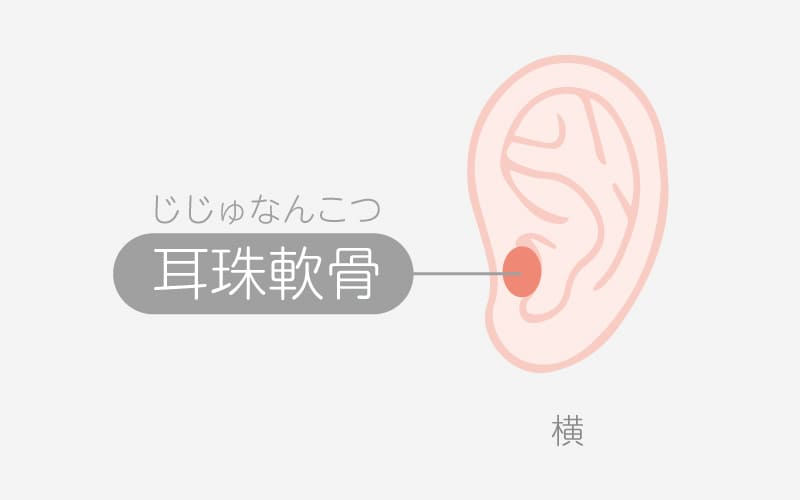 耳珠軟骨