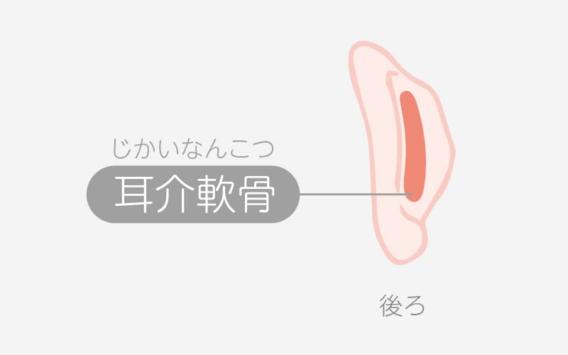 耳介軟骨