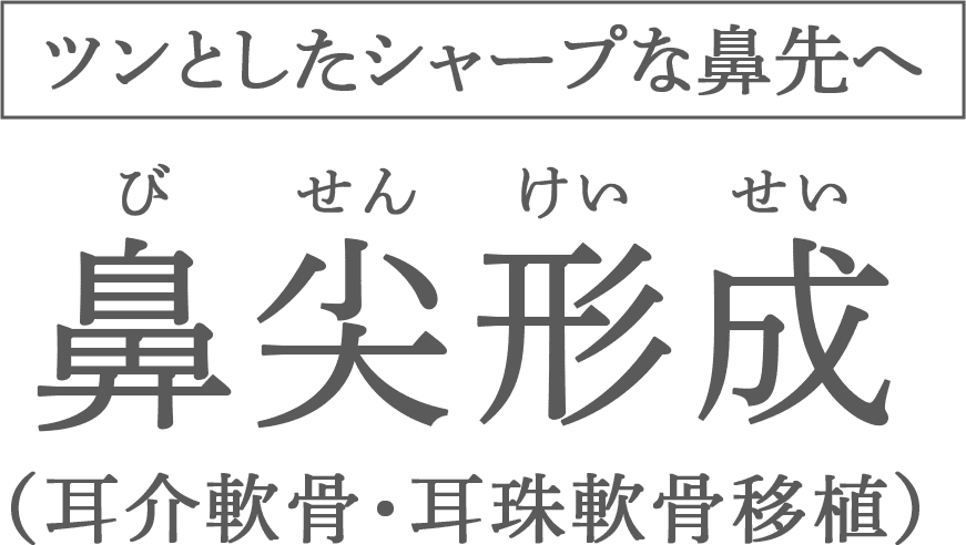 鼻尖形成（耳介軟骨・耳珠軟骨移植）