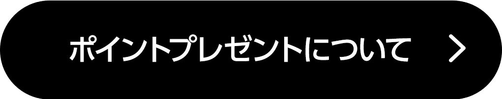 ポイントについて