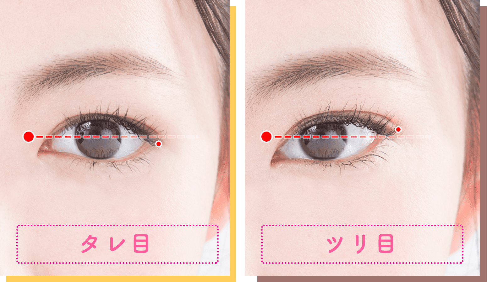 タレ目とつり目の違い