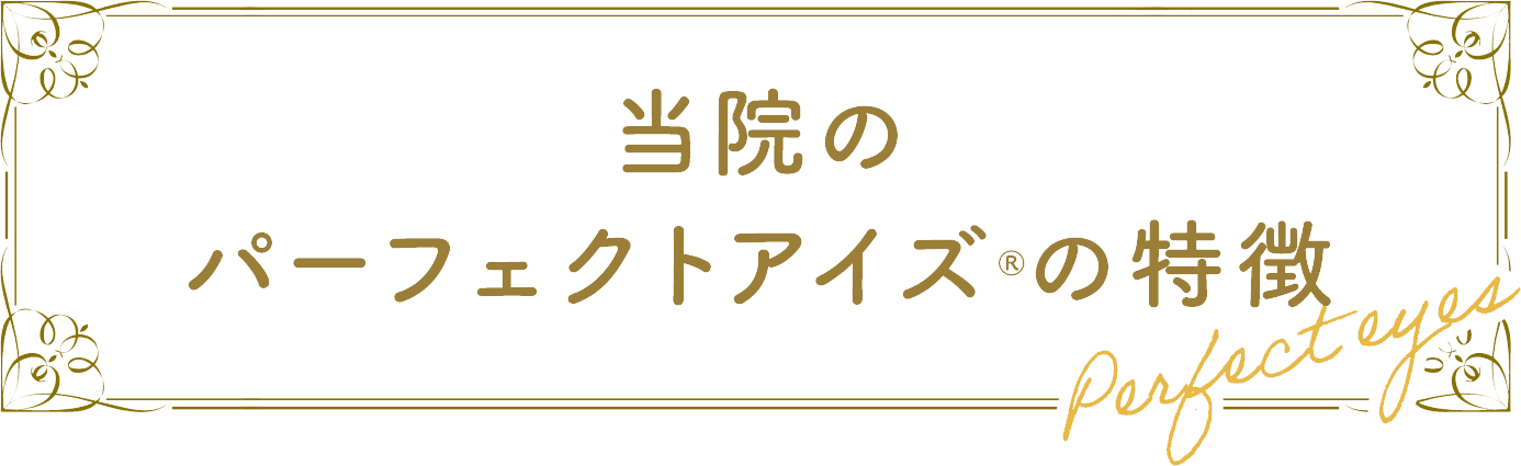 パーフェクトアイズの特徴