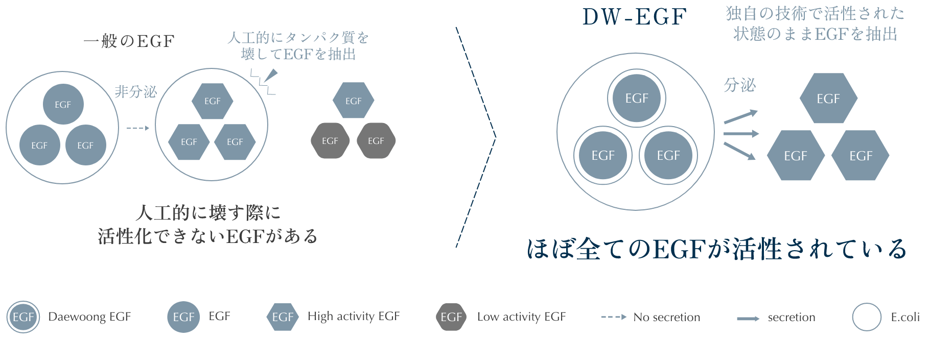 DW-EGF