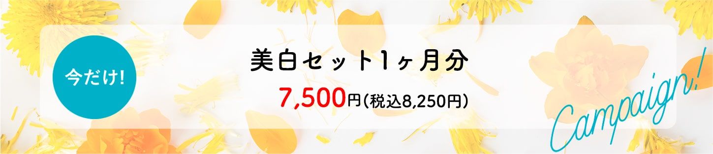 今なら美白セットがお得