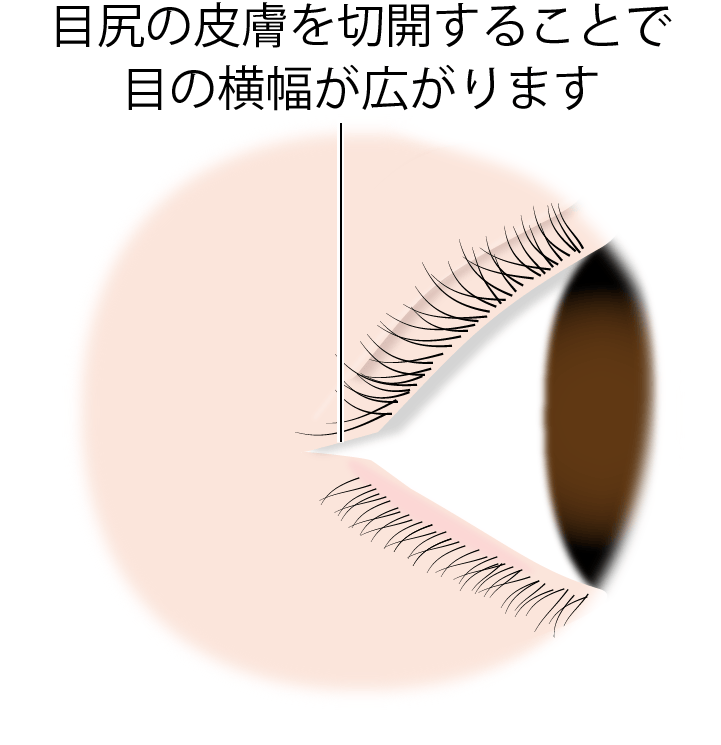 横幅が広がります