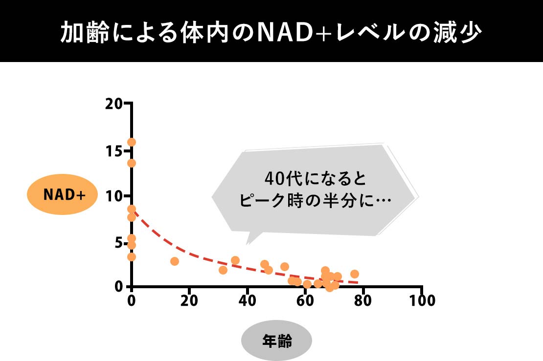 NMN点滴