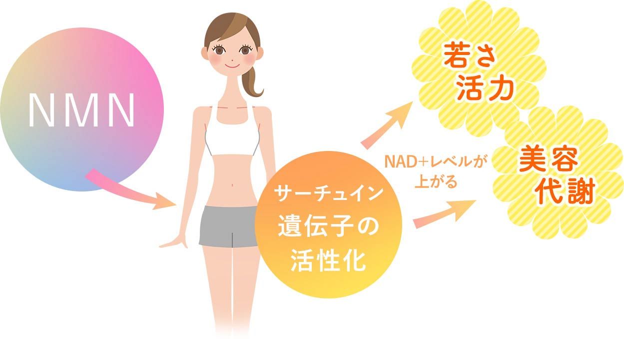 NMN点滴